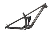 2025 TRANSITION SENTINEL ALLOY FRAMESET